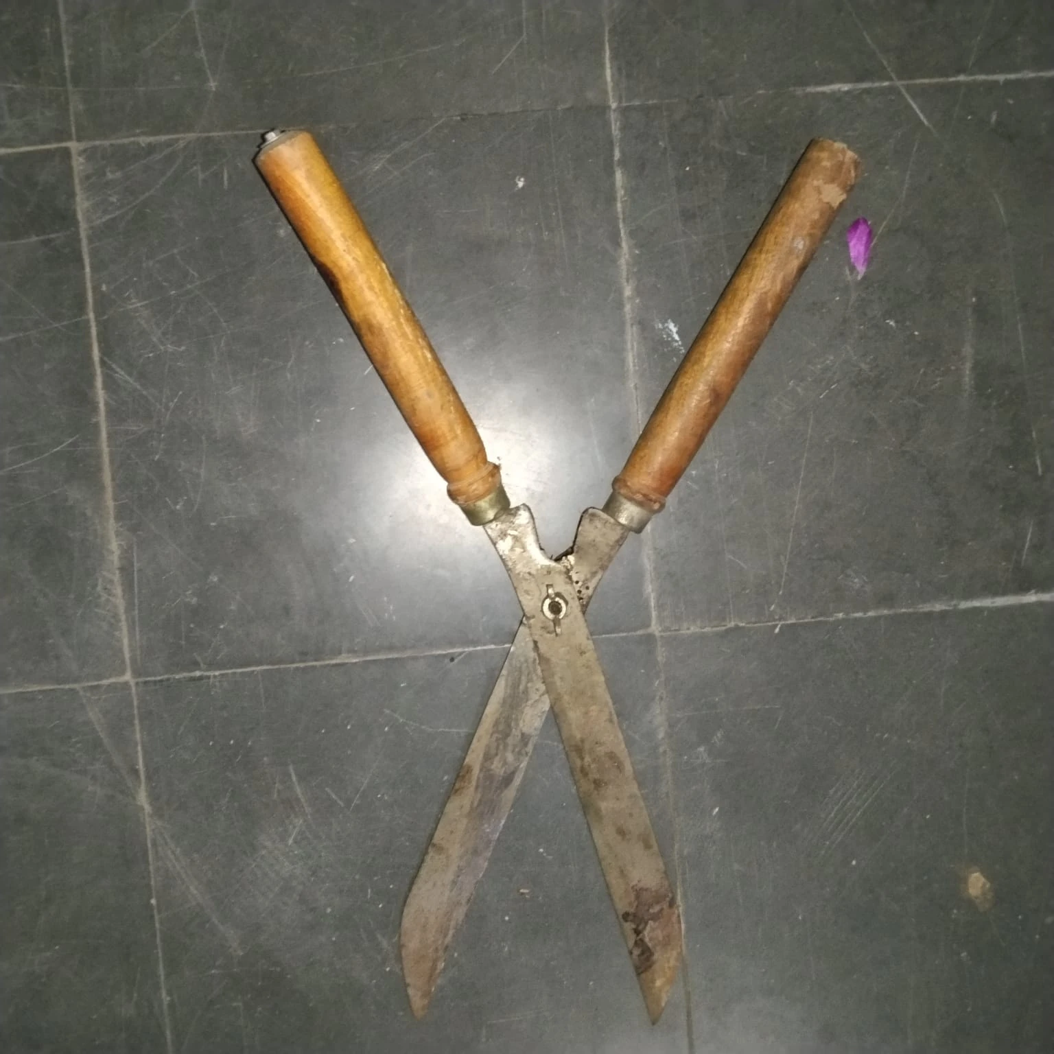 Vintage Wooden Handled Grass Shears